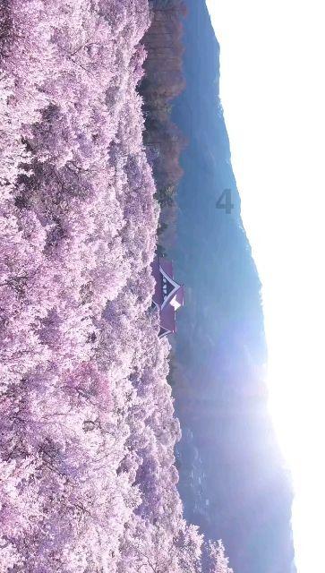 遗落的盒子